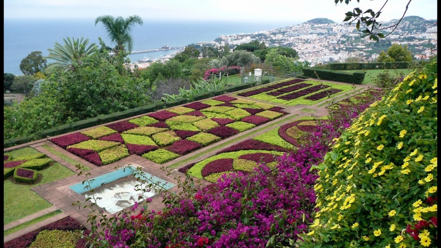 MADEIRA- Funchal- Festa da Flor