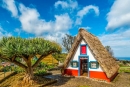 MADEIRA- Funchal